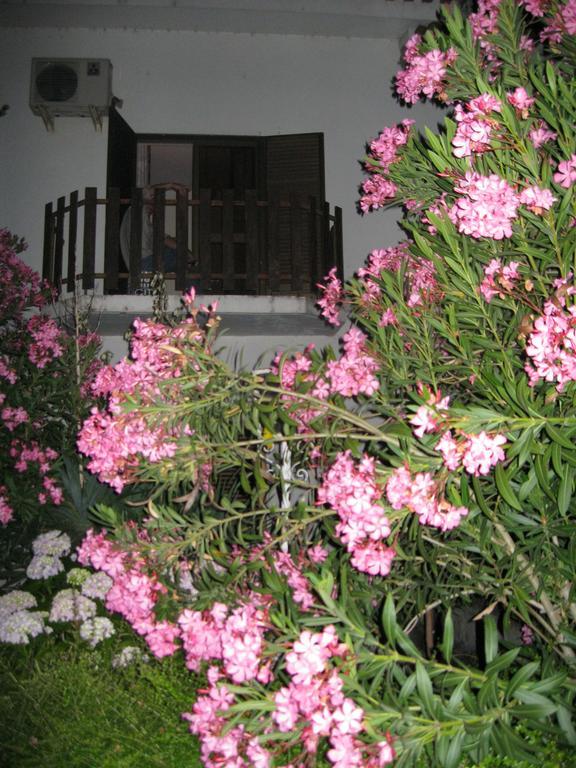 Casa Morgado Hotel Алмейда Екстериор снимка